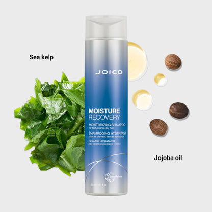 Moisture Recovery Shampoo